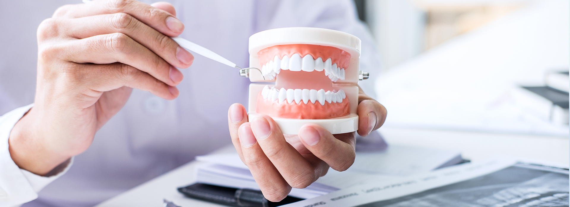 The image shows a person holding a toothbrush with toothpaste over a mouth model, demonstrating dental hygiene practices.
